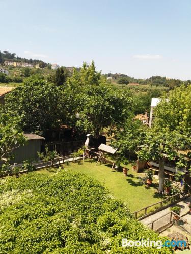 Pet friendly one bedroom apartment in San Miniato.