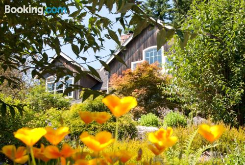 Wohnung mit Internet und Balkon. In Woodinville