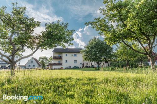 Apartment in Michelstadt. Internet!