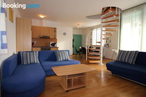 Huge apartment with 2 rooms. Lipno nad Vltavou perfect location!