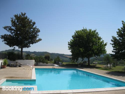 Home for two in Urbino. Pet friendly