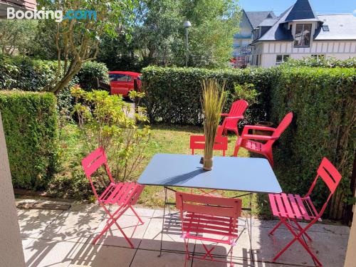 Appartement chiens bienvenus dans une situation exceptionnelle. Cabourg est votre!.