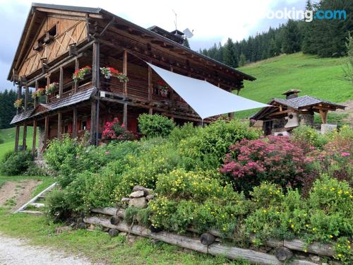 Apartamento para 2 pessoas em Santo Stefano di Cadore.