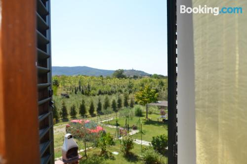 Appartement avec piscine. À Castiglion Fiorentino