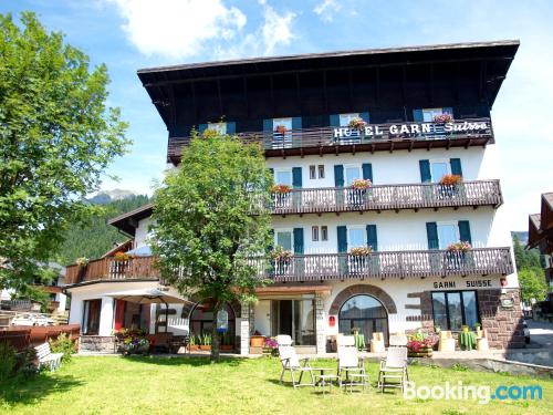 Appartement animaux acceptés dans le centre-ville. San Martino Di Castrozza à vos pieds