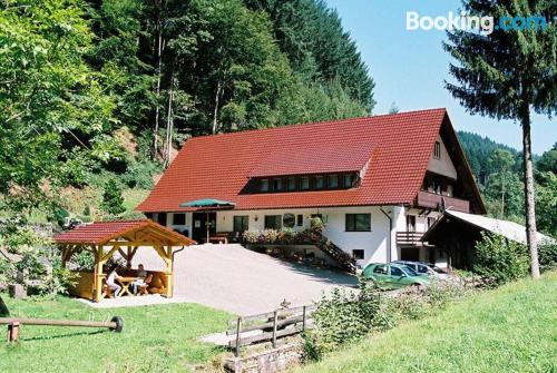 Apartamento en Oberharmersbach con conexión a internet