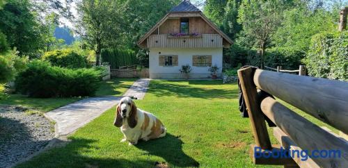 Apartamento de 100m2 en Radovljica con conexión a internet.