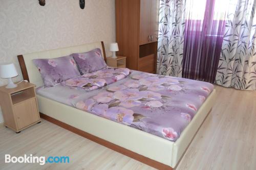 Place in Velikiy Novgorod. Dog friendly