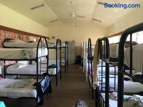 Bett im gemischten Schlafsaal mit 24 Betten