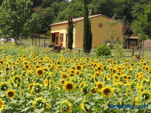 Apartment in Bibbona with heat