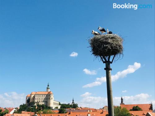 Tiny apartment in Mikulov in perfect location. Experience!.