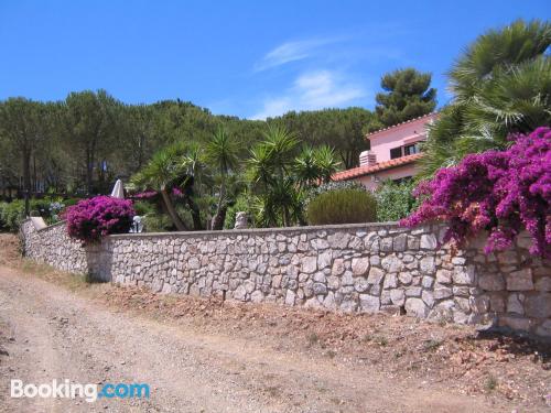 Porto Azzurro, dans le centre. Chiens bienvenus!.