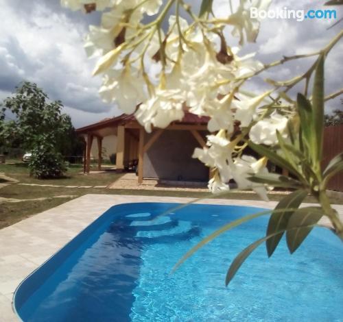 Swimming pool and internet apartment in Tiszafüred with terrace