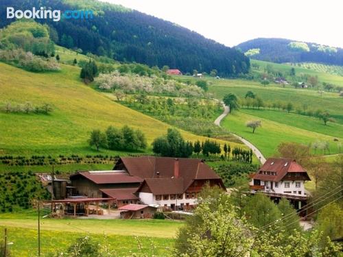 Appartamento adatto per bambini, a Oberharmersbach.