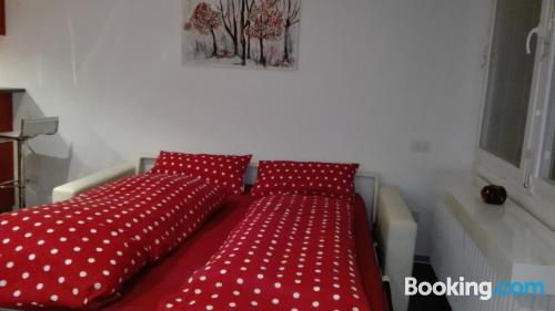 Good choice 1 bedroom apartment in best location of Todtmoos