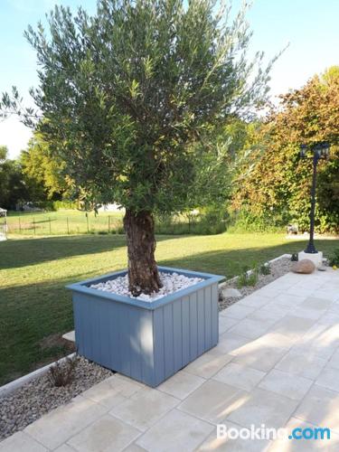 Apartamento en el ajo apto para perros en Bergerac