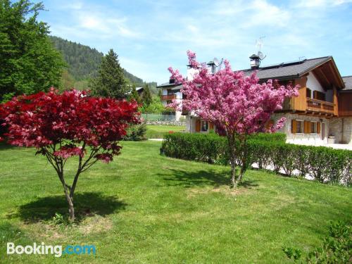 Appartamento con terrazza. Pieve Di Cadore per voi!