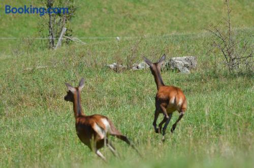 Spazioso appartamento nel centro città di Font-Romeu