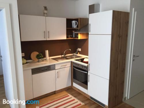1 bedroom apartment in Vienna with wifi