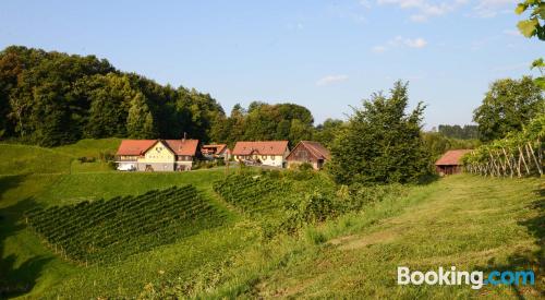 Home in Großklein with terrace