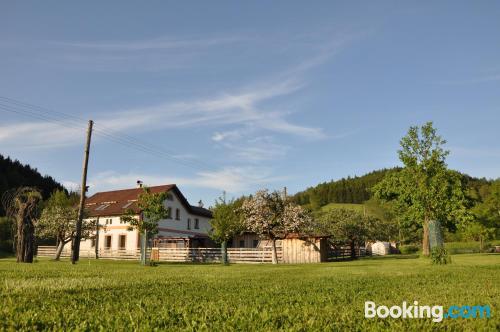 Confortable appartement à Jilemnice