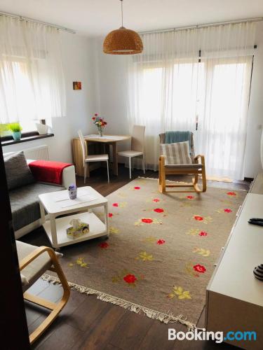 Geräumige ferienwohnung. In Buşteni.