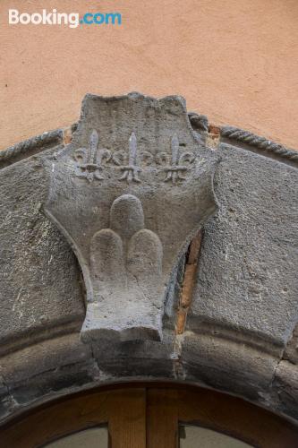 Canino à vos pieds, dans le centre-ville