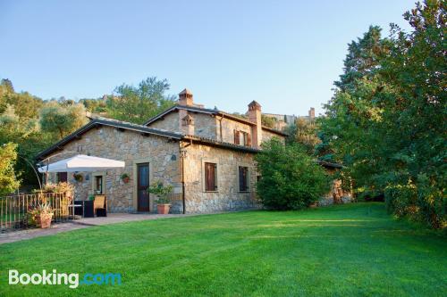 Homey apartment. Orvieto at your hands!