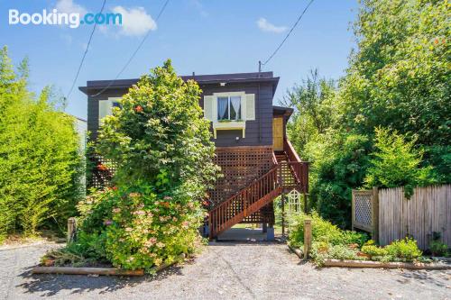 Centric apartment. Guerneville from your window!