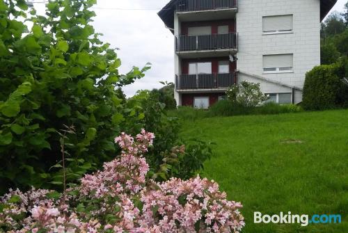 Waldkirch aan zijn voeten!. Comfortabel appartement!.