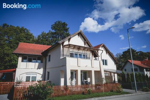 Appartement de 1 pièce adapté pour les chiens. À Kőszeg