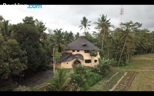 Ubud aan zijn voeten! Terras en Wifi