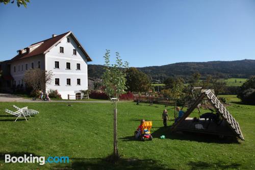 Ferienwohnung in Schönsee. Internet!