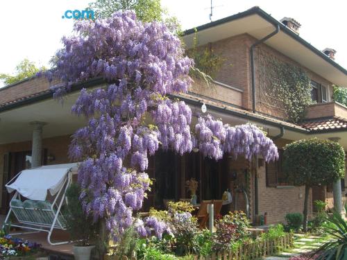 Apartamento con vistas y internet