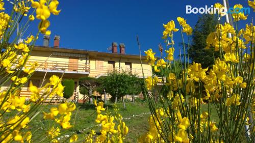 Apartamento com terraço em Carpegna