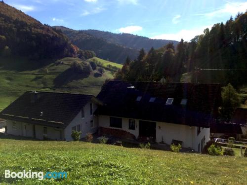 Apartamento con terraza y wifi en Muenstertal. Apto para animales