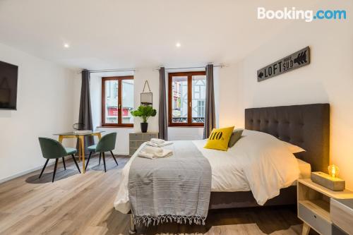 Apartamento con conexión a internet en Mulhouse.