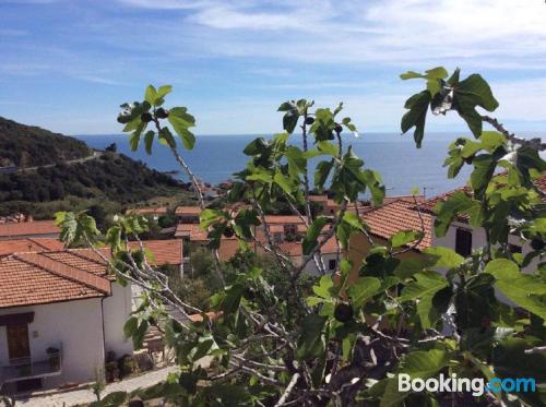 Bonito apartamento de dos habitaciones con terraza