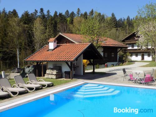 Apartment with wifi. Enjoy your swimming pool in Hauzenberg!