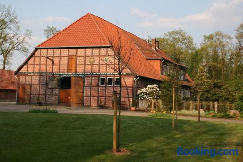 Huisdieren toegestaan appartement. Welkom bij Wietzendorf!.