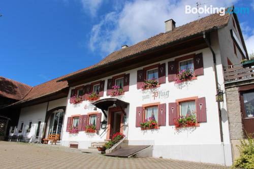 Apt mit Balkon. In Steinen