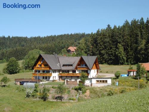 Appartement avec piscine, parfait pour les groupes