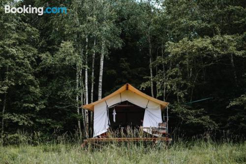 Wohnung mit Internet und Terrasse. In Sigulda