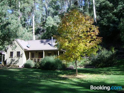 Apartamento de 100m2 em Harrietville. Wi-fi e terraço