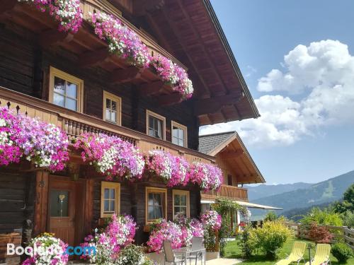 Three room apartment in Flachau. Perfect for six or more