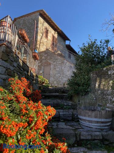 Ferienwohnung in Gaiole In Chianti. Umfangreiche.