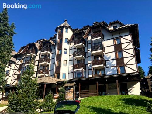 Convenient one bedroom apartment in Kopaonik.