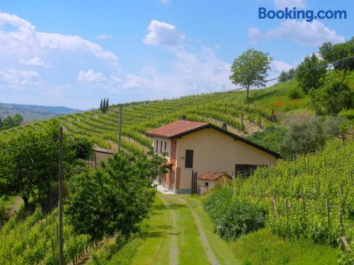 Gran apartamento de dos dormitorios en Nizza Monferrato