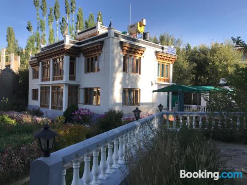 Apartment for 2 in Leh. Ideal!