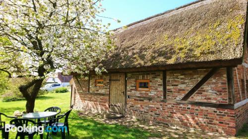 Pet friendly place in Klausdorf Mecklenburg Vorpommern. Terrace!